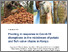 [thumbnail of Open Access Report]