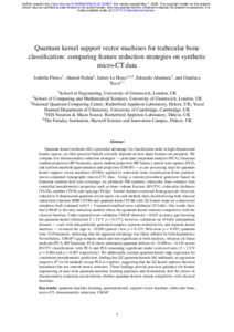 Greenwich Academic Literature Archive - Quantum kernel support vector ...